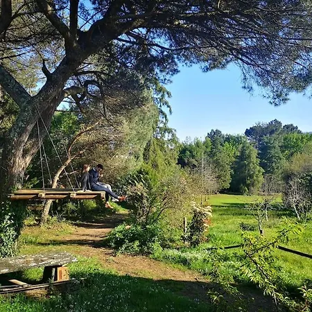 Pine Lodge - Direct Train To Porto Valongo  Exterior foto