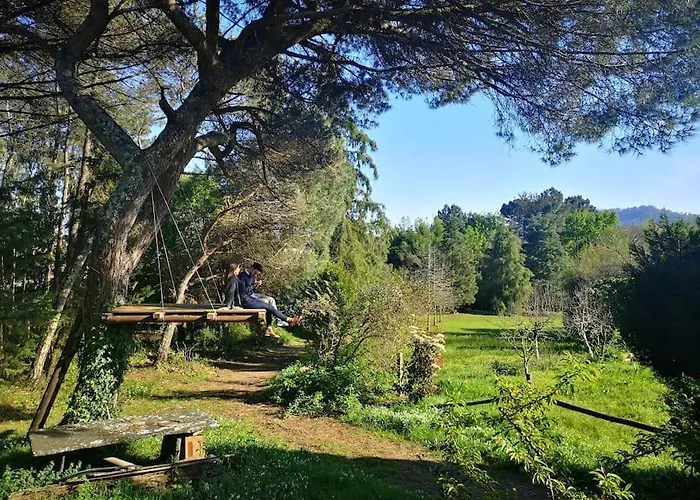 Pine Lodge - Direct Train To Porto