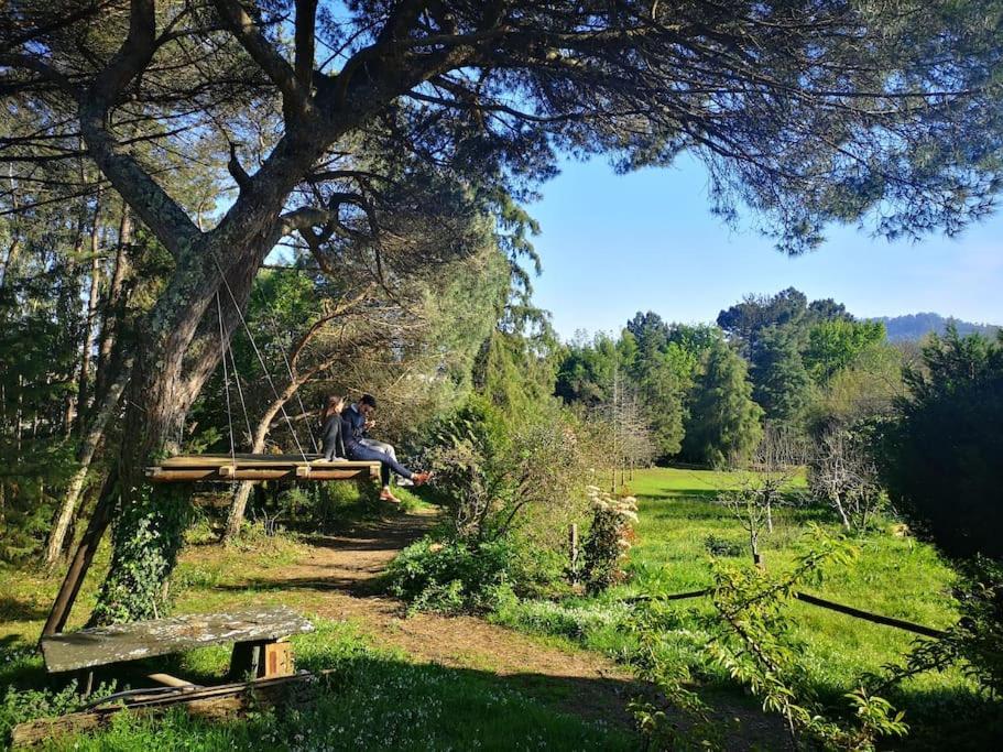 Villa Pine - Direct Train To Porto