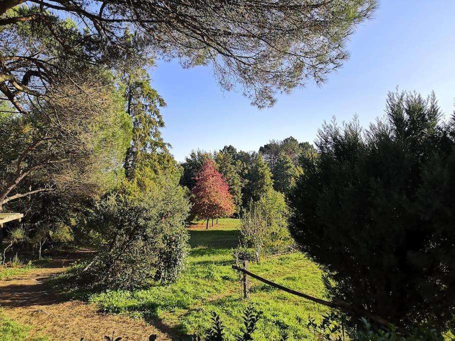 Villa Pine - Direct Train To Porto *