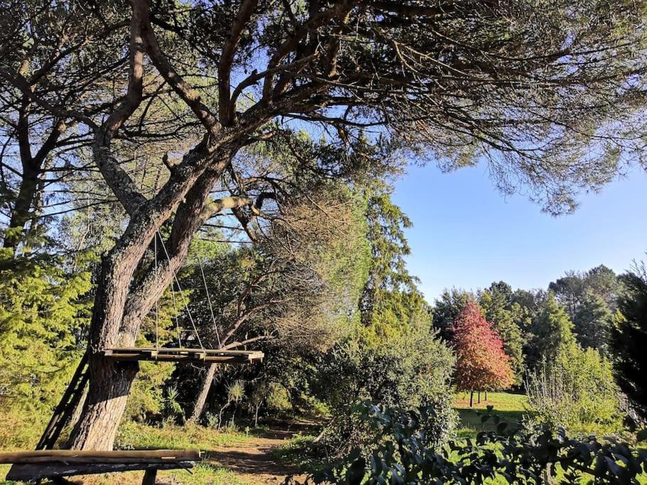 Pine - Direct Train To Porto *